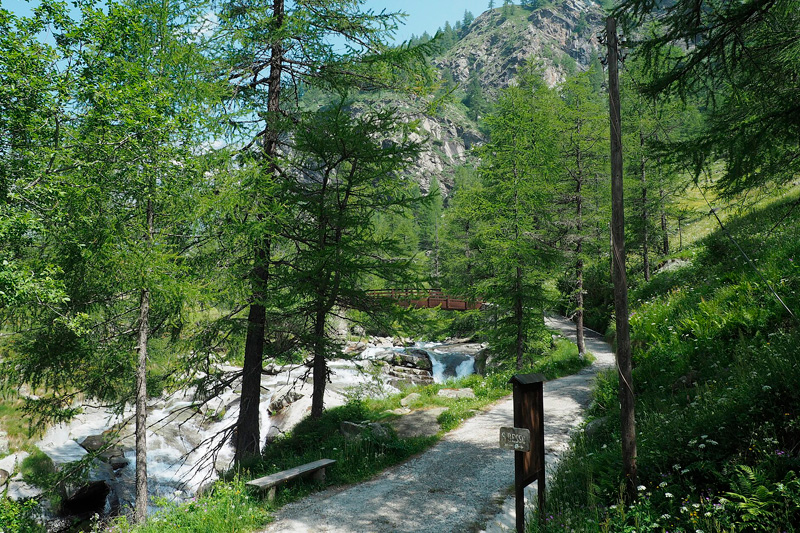 valle-soana-pian-azaria